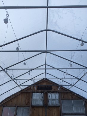 These pulleys will be used to support spring tomato plantings.